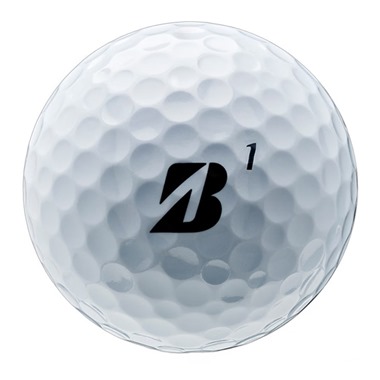 Bridgestone e6 Golf Balls 2025