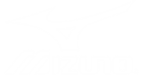 Mizuno