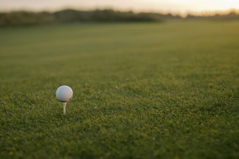 What Golf Balls Should I Get My Partner?